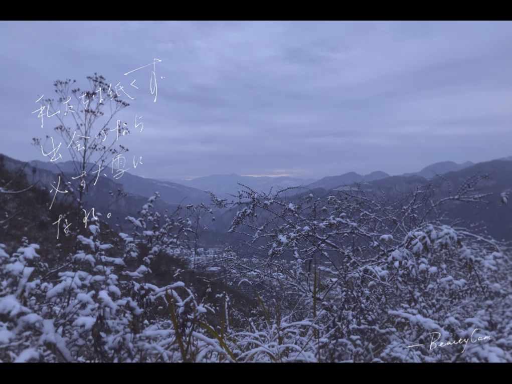 逆水寒